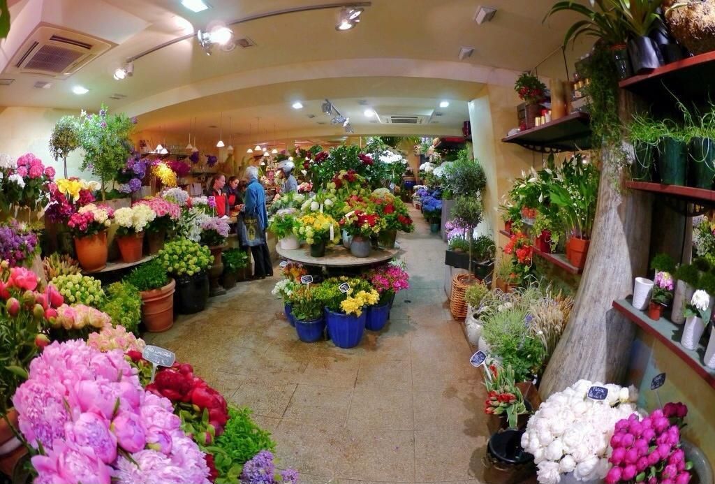 花店星空注册_星空(中国)效果图 花店星空注册_星空(中国)效果图