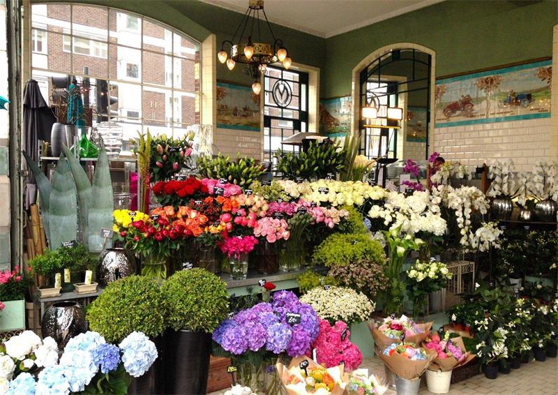 花店星空注册_星空(中国)效果图 花店星空注册_星空(中国)效果图